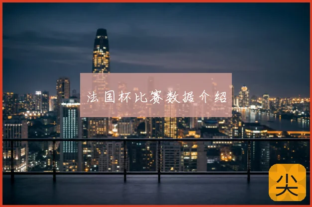 法国杯比赛数据介绍